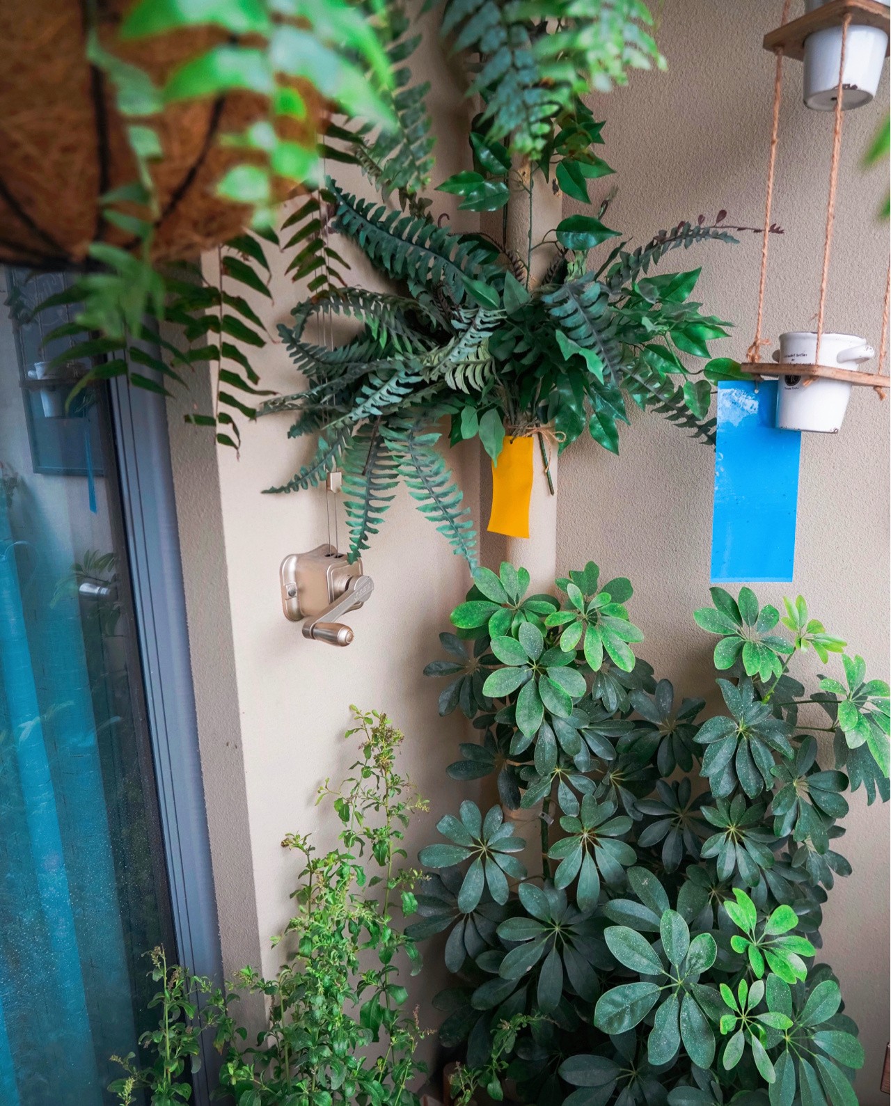 Sau khi cải tạo ban công 5m² thành khu vườn thư giãn, tôi hạnh phúc đến mức không muốn rời nhà đi đâu nữa!- Ảnh 5. Sau khi cải tạo ban công 5m² thành khu vườn thư giãn, tôi hạnh phúc đến mức không muốn rời nhà đi đâu nữa!- Ảnh 5.