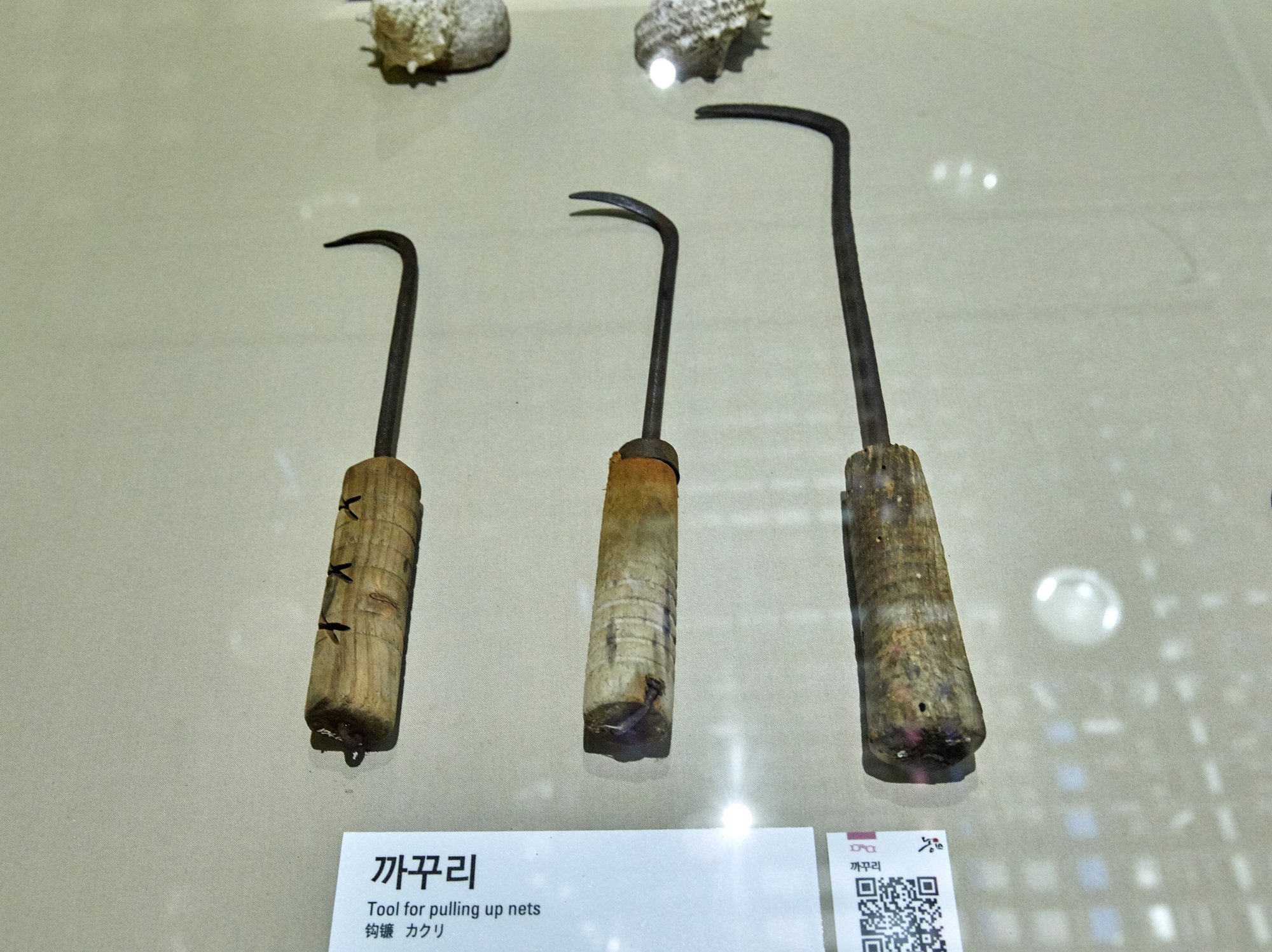 Hải nữ là nghề gì mà khiến IU "khóc rống", nằng nặc không cho con gái theo trong "Khi cuộc đời cho bạn quả quýt"?- Ảnh 15.