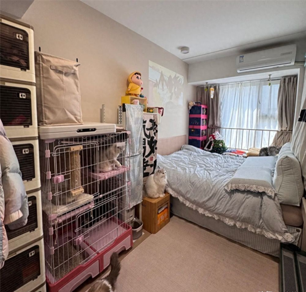 Cuộc sống bên trong phòng trọ 17m2 của một cô gái và 4 Cuộc sống bên trong phòng trọ 17m2 của một cô gái và 4