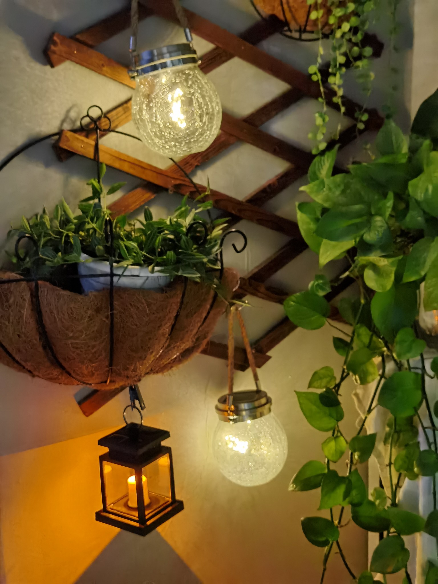 Sau khi cải tạo ban công 5m² thành khu vườn thư giãn, tôi hạnh phúc đến mức không muốn rời nhà đi đâu nữa!- Ảnh 16. Sau khi cải tạo ban công 5m² thành khu vườn thư giãn, tôi hạnh phúc đến mức không muốn rời nhà đi đâu nữa!- Ảnh 16.