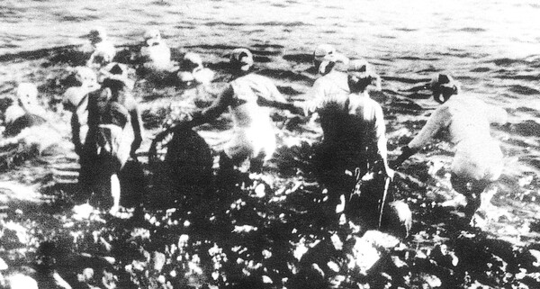 Hải nữ là nghề gì mà khiến IU "khóc rống", nằng nặc không cho con gái theo trong "Khi cuộc đời cho bạn quả quýt"?- Ảnh 21.