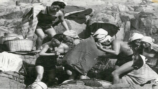 Hải nữ là nghề gì mà khiến IU "khóc rống", nằng nặc không cho con gái theo trong "Khi cuộc đời cho bạn quả quýt"?- Ảnh 22.