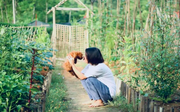 Người đàn ông 35 tuổi bỏ phố lên núi sống 1 mình, nhìn cảnh tượng, mọi người bật thốt: “Anh đã chịu đựng những gì ở thành phố vậy?”- Ảnh 1. Người đàn ông 35 tuổi bỏ phố lên núi sống 1 mình, nhìn cảnh tượng, mọi người bật thốt: “Anh đã chịu đựng những gì ở thành phố vậy?”- Ảnh 1.