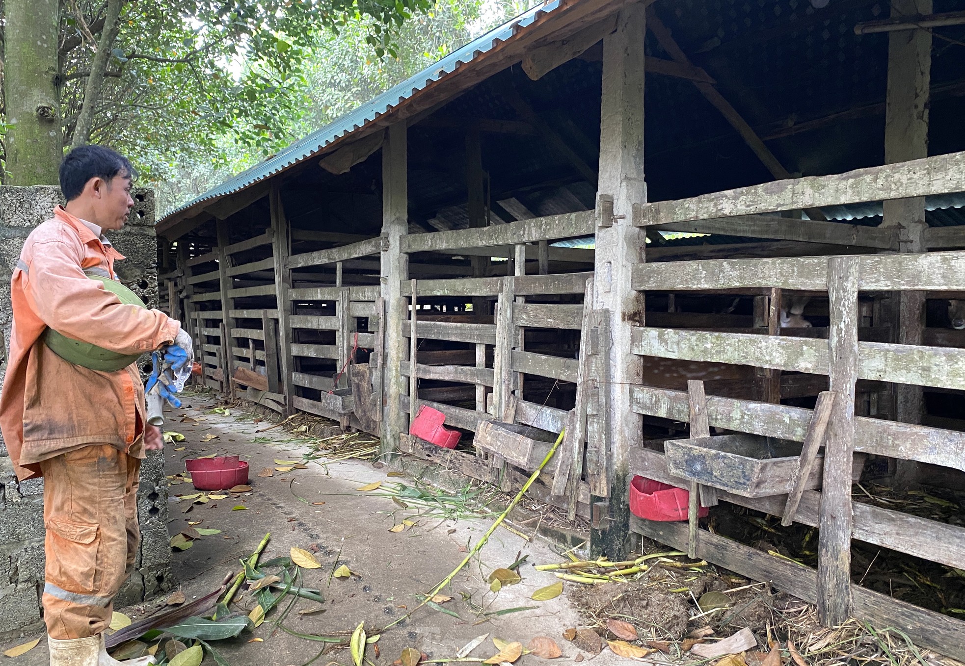 Thu tiền tỷ nhờ nghề nuôi con 'thần dược'- Ảnh 3.