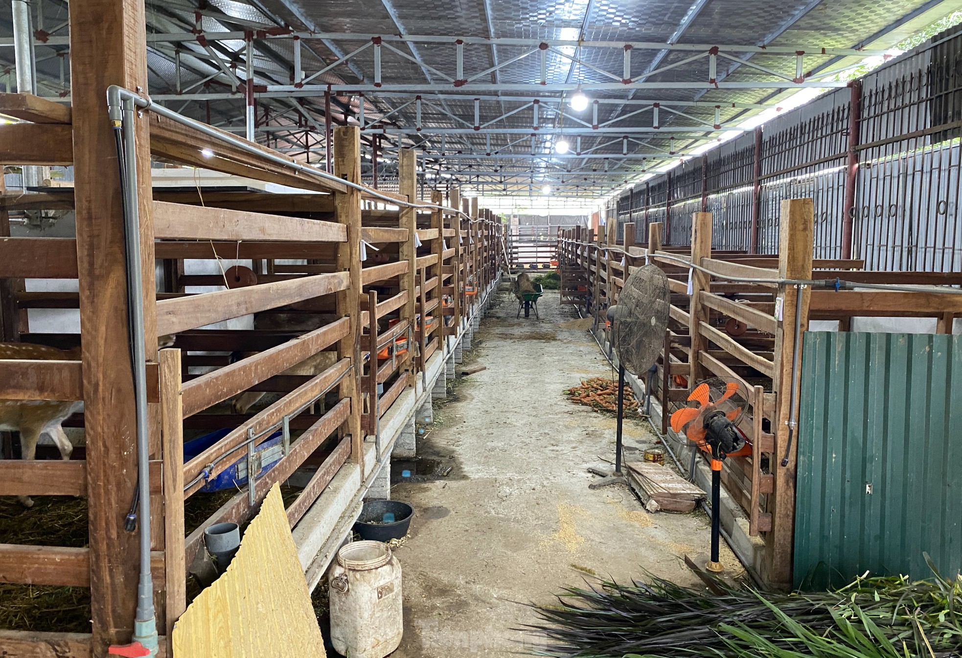 Thu tiền tỷ nhờ nghề nuôi con 'thần dược'- Ảnh 9.