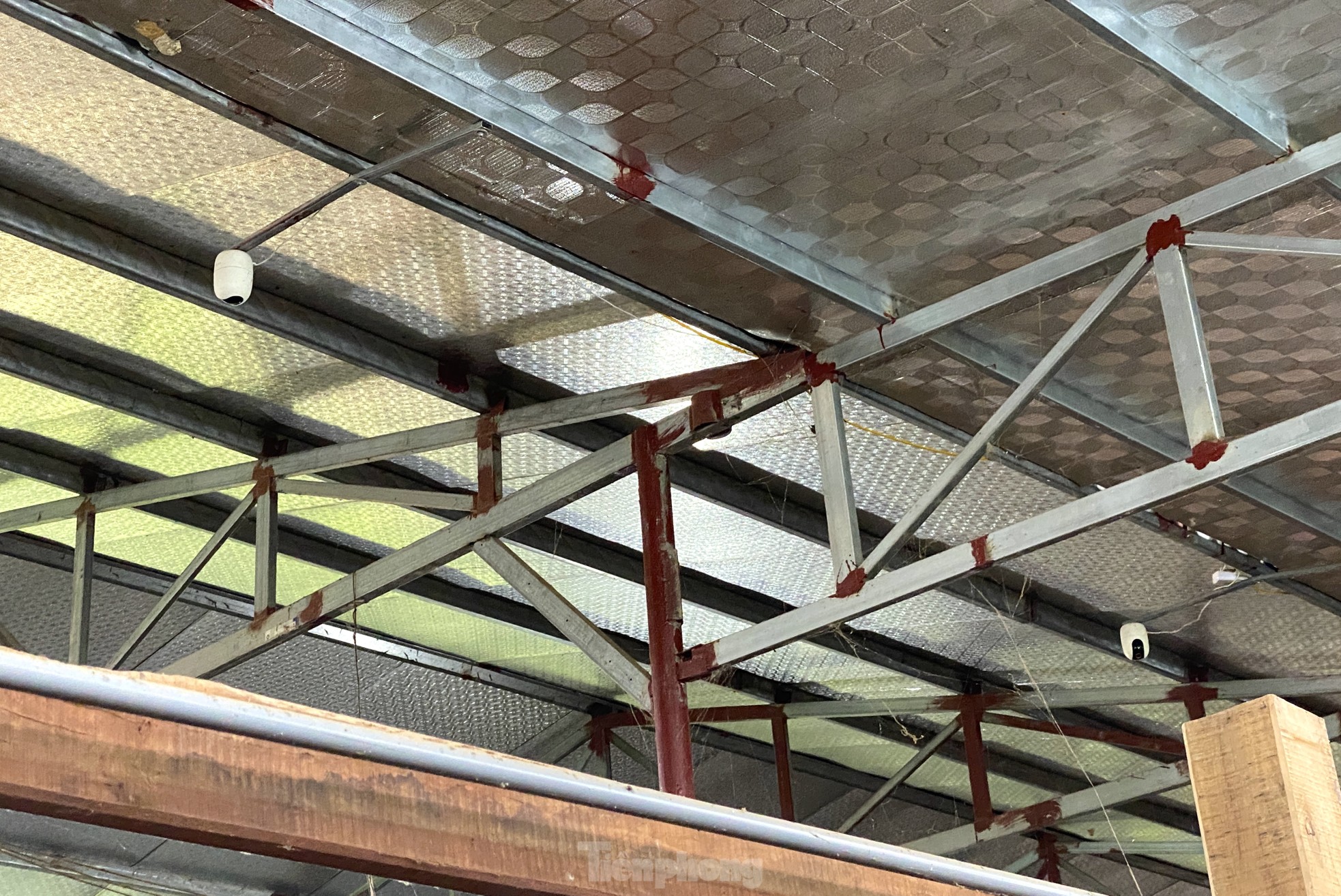 Thu tiền tỷ nhờ nghề nuôi con 'thần dược'- Ảnh 14.