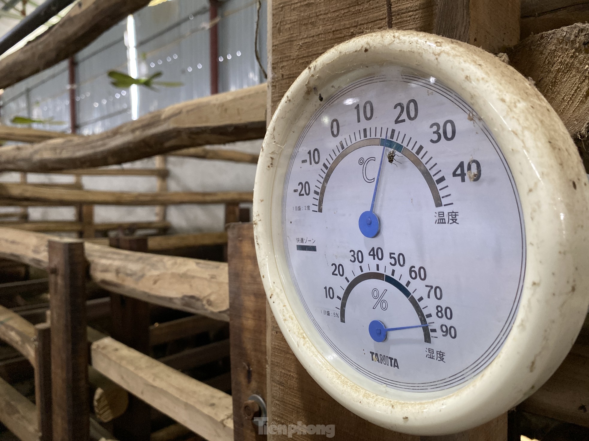 Thu tiền tỷ nhờ nghề nuôi con 'thần dược'- Ảnh 15.