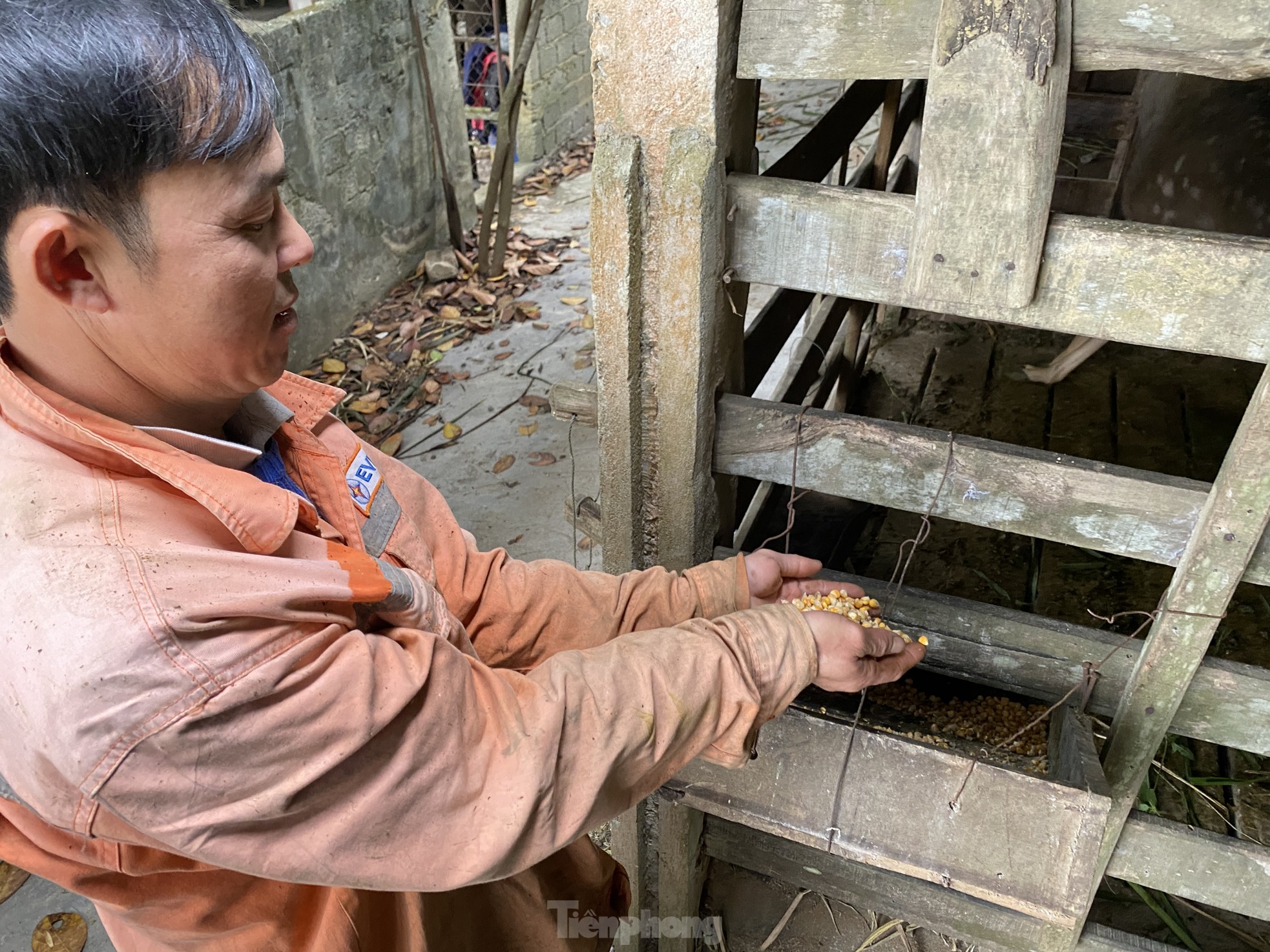 Thu tiền tỷ nhờ nghề nuôi con 'thần dược'- Ảnh 5.