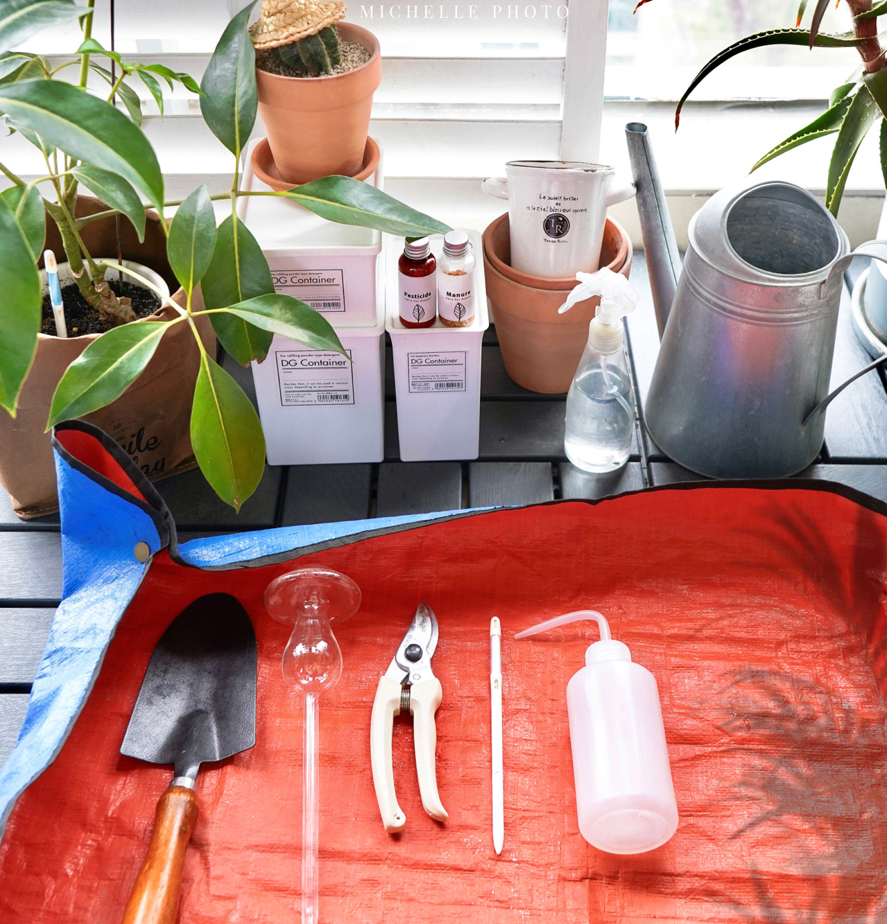 Sau khi cải tạo ban công 5m² thành khu vườn thư giãn, tôi hạnh phúc đến mức không muốn rời nhà đi đâu nữa!- Ảnh 14. Sau khi cải tạo ban công 5m² thành khu vườn thư giãn, tôi hạnh phúc đến mức không muốn rời nhà đi đâu nữa!- Ảnh 14.