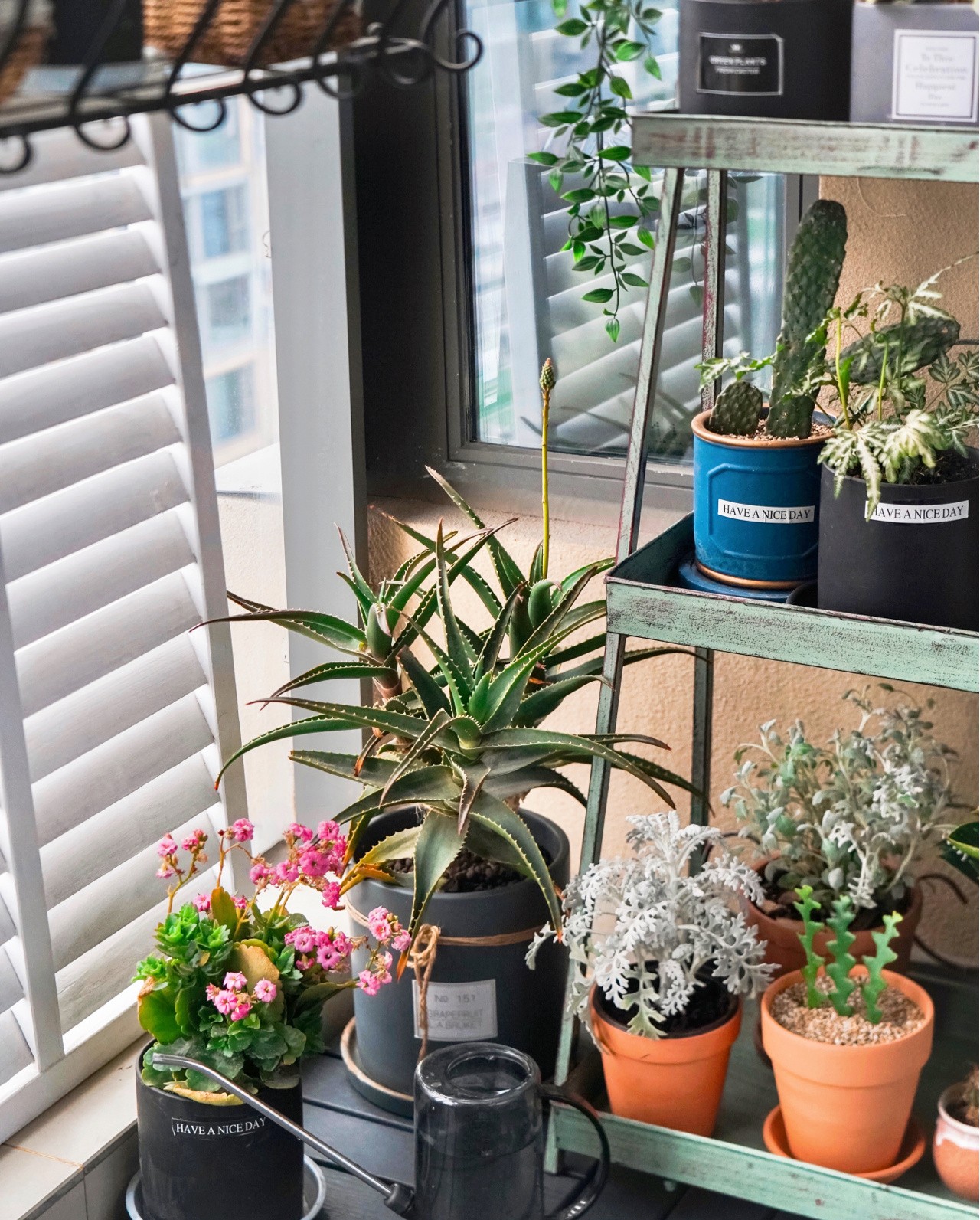 Sau khi cải tạo ban công 5m² thành khu vườn thư giãn, tôi hạnh phúc đến mức không muốn rời nhà đi đâu nữa!- Ảnh 7. Sau khi cải tạo ban công 5m² thành khu vườn thư giãn, tôi hạnh phúc đến mức không muốn rời nhà đi đâu nữa!- Ảnh 7.