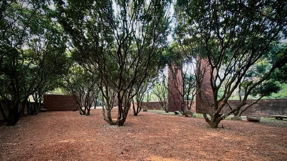 Xuân Hinh khoe cận cảnh bảo tàng 5000m2, được giám tuyển thiết kế nổi tiếng lặn lội từ Mỹ đến thăm- Ảnh 4. Xuân Hinh khoe cận cảnh bảo tàng 5000m2, được giám tuyển thiết kế nổi tiếng lặn lội từ Mỹ đến thăm- Ảnh 4.