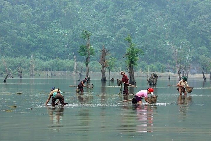Đến Hà Giang ngắm hồ Noong - chốn 'bồng lai' giữa cao nguyên đá- Ảnh 5. Đến Hà Giang ngắm hồ Noong - chốn 'bồng lai' giữa cao nguyên đá- Ảnh 5.