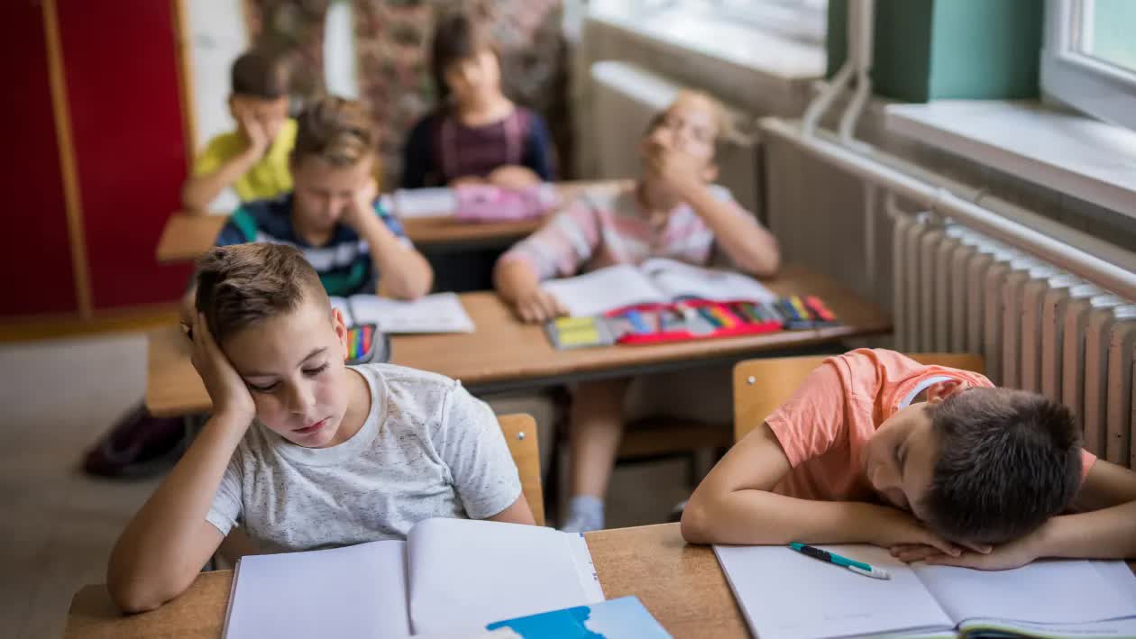 Cha mẹ thông minh luôn làm 6 điều này để giúp con mình thích học- Ảnh 2. Cha mẹ thông minh luôn làm 6 điều này để giúp con mình thích học- Ảnh 2.