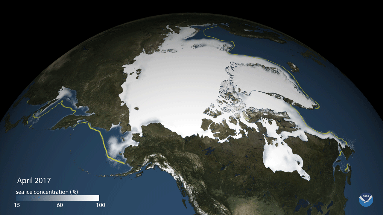 Thước phim đầu tiên trong lịch sử ghi lại cảnh gấu Bắc Cực dắt con rời hang ngủ đông: Trông rất đáng yêu, nhưng các nhà khoa học cho biết đó là một điềm báo chẳng lành- Ảnh 12.
