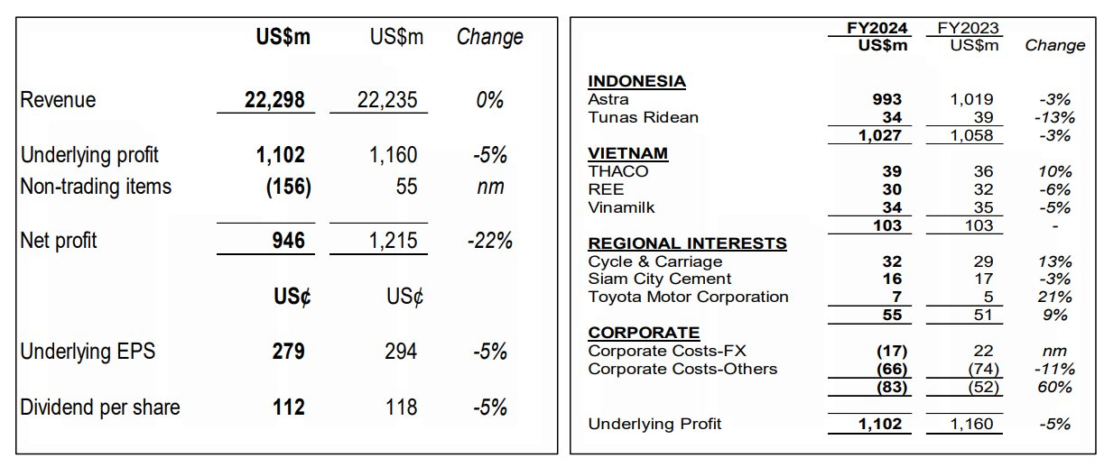 Tập đoàn chi hàng tỷ USD vào Việt Nam báo lãi năm 2024 đi lùi: Thaco tỏa sáng 'cứu' lợi nhuận, bù đắp cho sự hụt hơi của REE và Vinamilk- Ảnh 2.