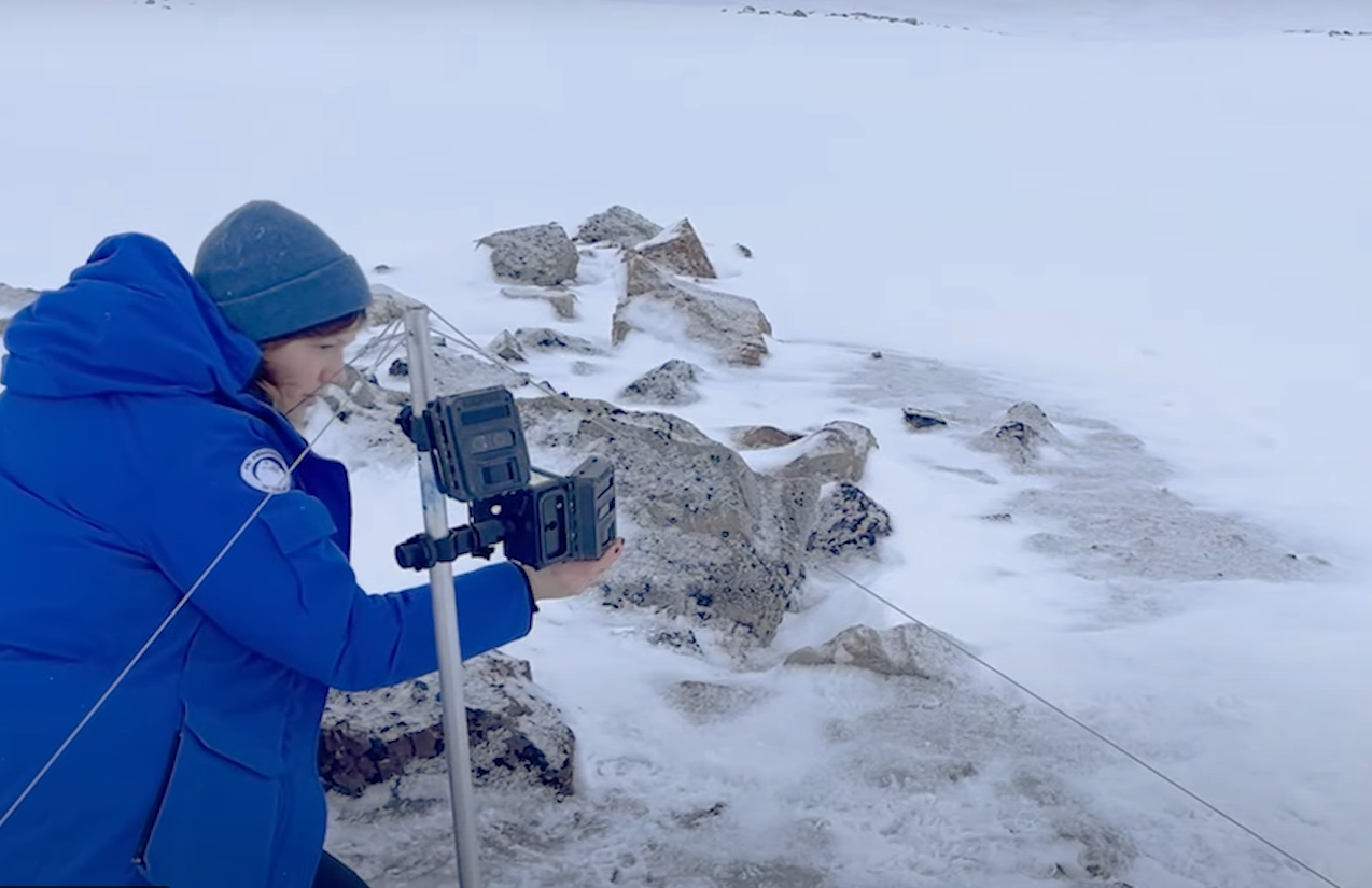 Thước phim đầu tiên trong lịch sử ghi lại cảnh gấu Bắc Cực dắt con rời hang ngủ đông: Trông rất đáng yêu, nhưng các nhà khoa học cho biết đó là một điềm báo chẳng lành- Ảnh 7.