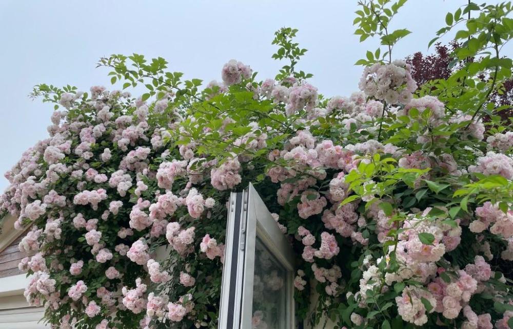 Nữ diễn viên nổi tiếng Nữ diễn viên nổi tiếng