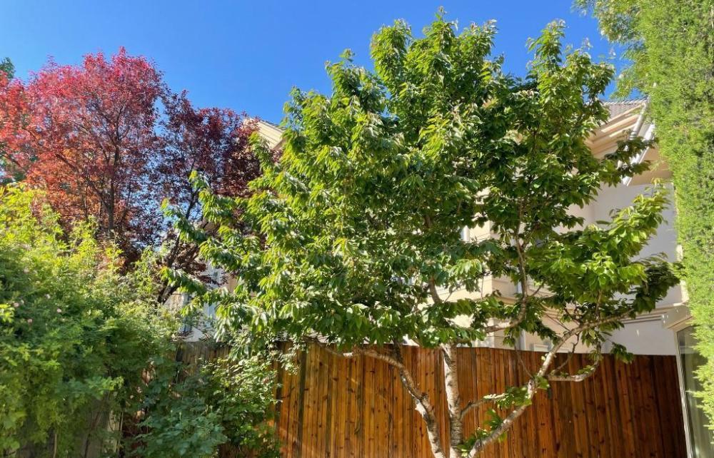 Nữ diễn viên nổi tiếng Nữ diễn viên nổi tiếng