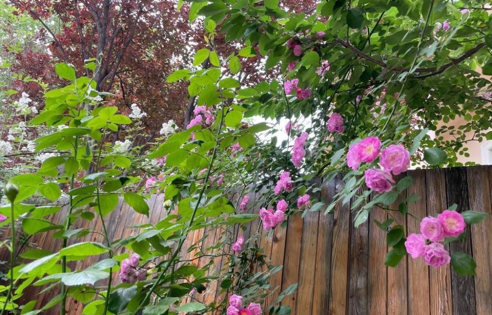 Nữ diễn viên nổi tiếng Nữ diễn viên nổi tiếng