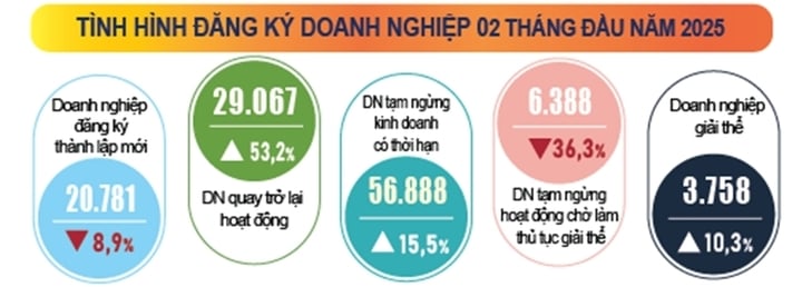 CPI tháng 2 tăng 0,34%, hơn 10.000 doanh nghiệp thành lập mới- Ảnh 2.