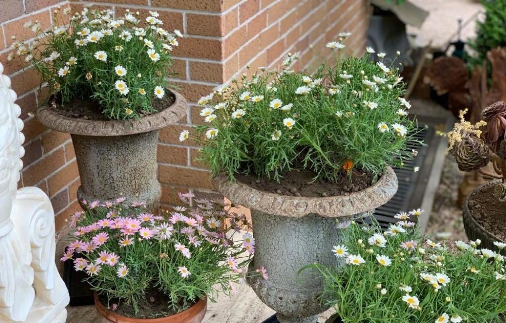 Nữ diễn viên nổi tiếng Nữ diễn viên nổi tiếng