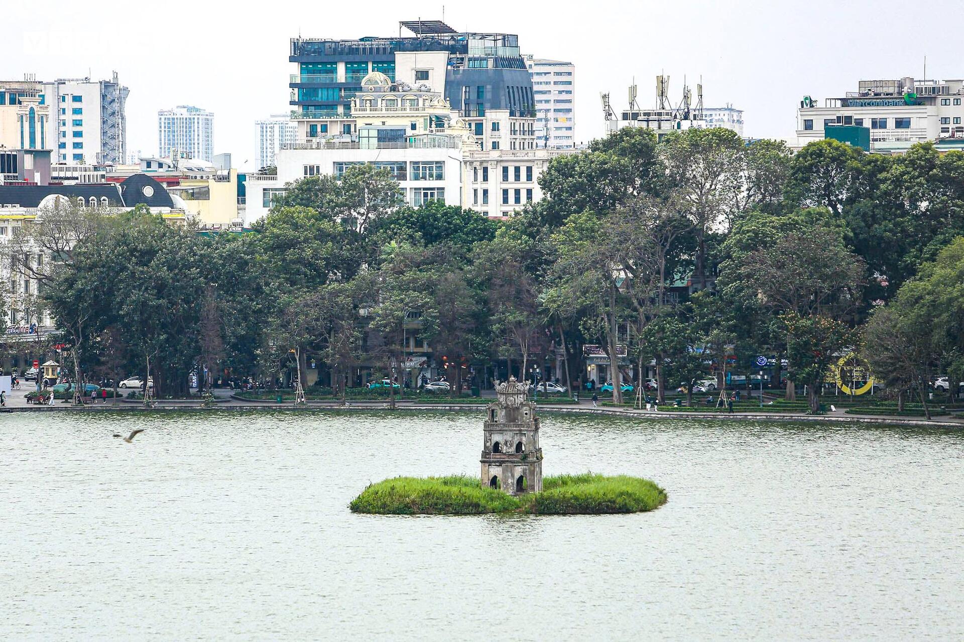 Cận cảnh tòa nhà 'Hàm cá mập' sắp bị phá bỏ để làm không gian ngầm- Ảnh 15.