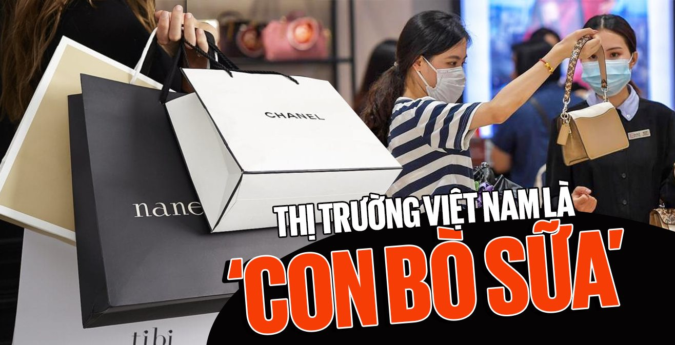 Toan tính của những Gucci, Dior, Louis Vuitton: Biến thị trường Việt Nam với 17 triệu người thuộc tầng lớp trung lưu thành ‘con bò sữa’?- Ảnh 1.