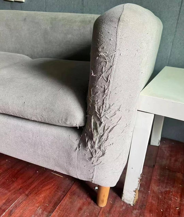 Tại sao nhiều người thà để trống nhà chứ không cho thuê: Người trong cuộc tiết lộ 5 điều "đau khổ"- Ảnh 1.