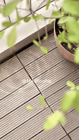 Sau 3 năm sống ở chung cư, cô gái trẻ chia sẻ sai lầm cực quan trọng, ai sửa nhà nên lưu ý- Ảnh 4. Sau 3 năm sống ở chung cư, cô gái trẻ chia sẻ sai lầm cực quan trọng, ai sửa nhà nên lưu ý- Ảnh 4.