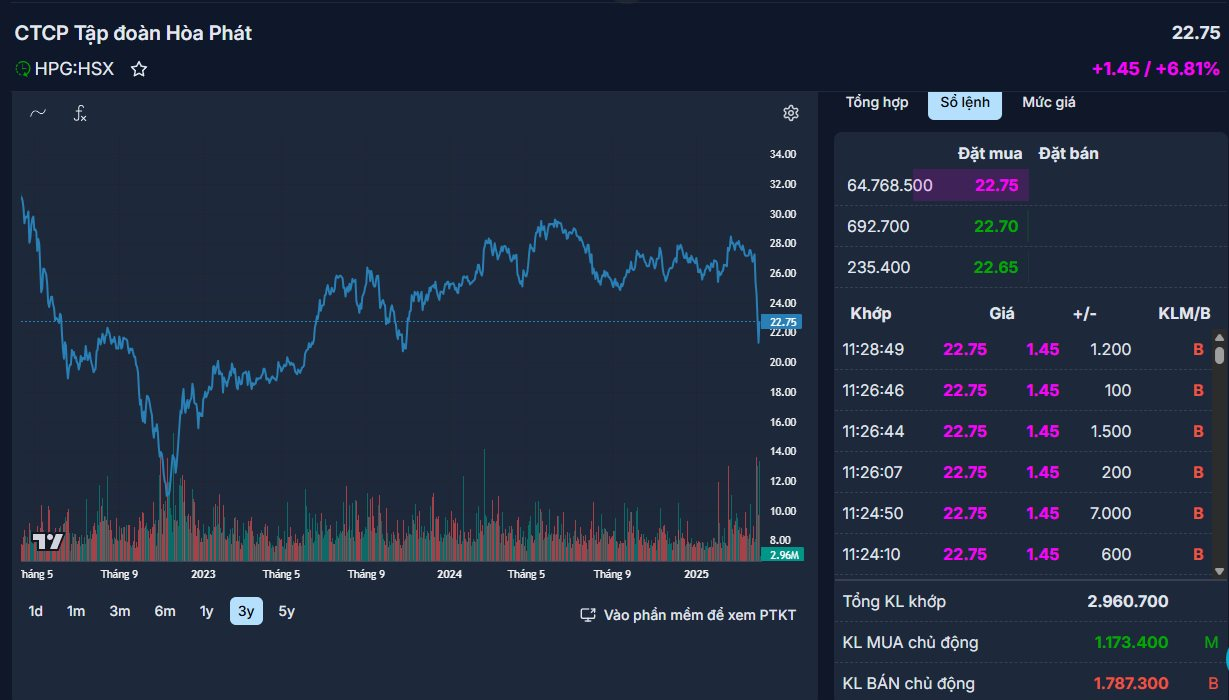 Trước khi hô "vật lộn" với cổ phiếu Hòa Phát, Mai Phương Thúy từng thắng thắn: "Công sức em suy nghĩ bạc cả đầu, không dại gì phím hàng free!"- Ảnh 3.