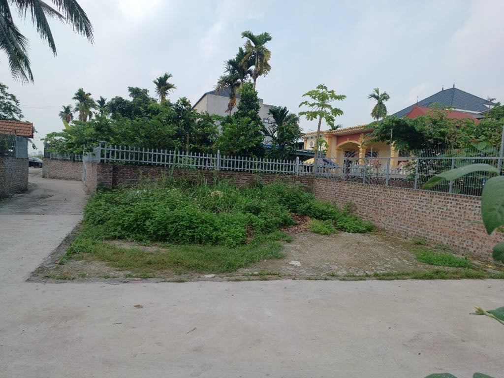 Giá vàng cao ngất, các dì tôi thay vì mua 5 cây vàng đã mua 1 miếng đất làm quà cưới cho cháu gái- Ảnh 2. Giá vàng cao ngất, các dì tôi thay vì mua 5 cây vàng đã mua 1 miếng đất làm quà cưới cho cháu gái- Ảnh 2.
