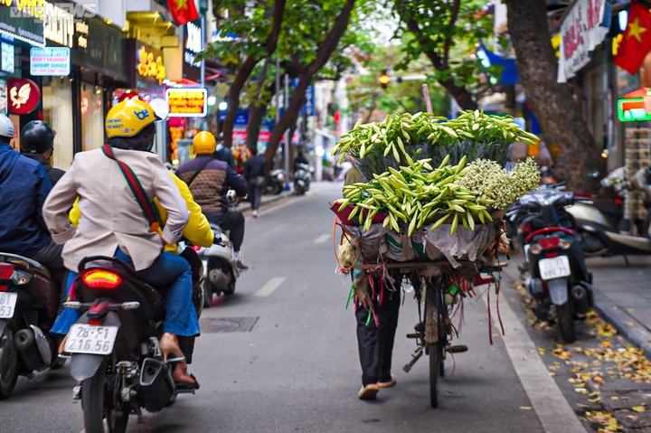 Vì sao nên loại bỏ nhụy hoa loa kèn khi cắm trong nhà?- Ảnh 1. Vì sao nên loại bỏ nhụy hoa loa kèn khi cắm trong nhà?- Ảnh 1.