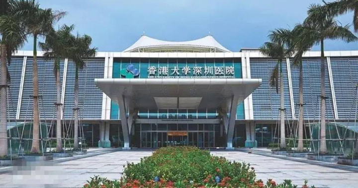 Bệnh nhân bị cắt 5 cơ quan, sau khi chết người nhà mới biết bà không bị ung thư- Ảnh 1.