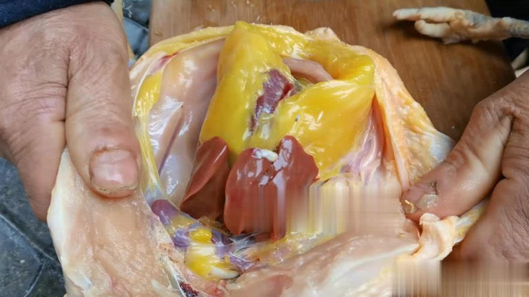 Phần thịt gà dinh dưỡng "đắt hơn giá vàng" nhưng lại hay bị người Việt vứt bỏ- Ảnh 1.