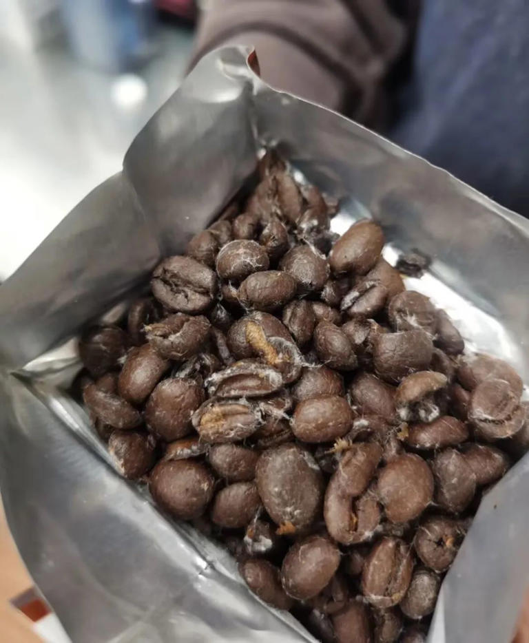 Bác sĩ đến chơi nhà, mở tủ lạnh ra bỗng thét lên: Bác sĩ đến chơi nhà, mở tủ lạnh ra bỗng thét lên: