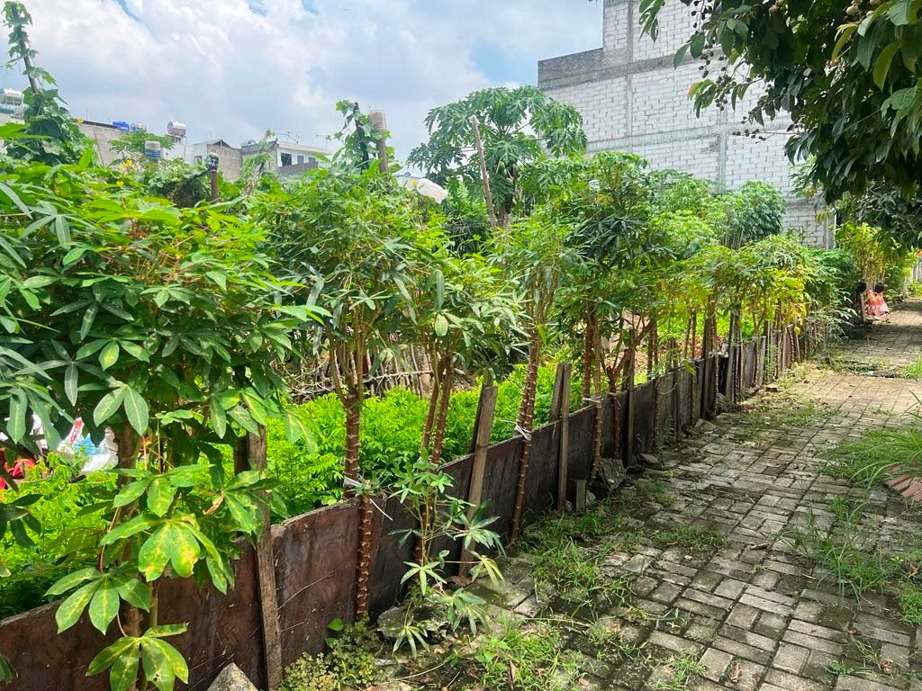 Hà Nội: Kỳ lạ khu đô thị nghìn tỷ nhiều năm "án binh bất động", UBND Hoài Đức yêu cầu Công ty Lũng Lô 5 phải báo cáo trước ngày 6/5/2025- Ảnh 4.