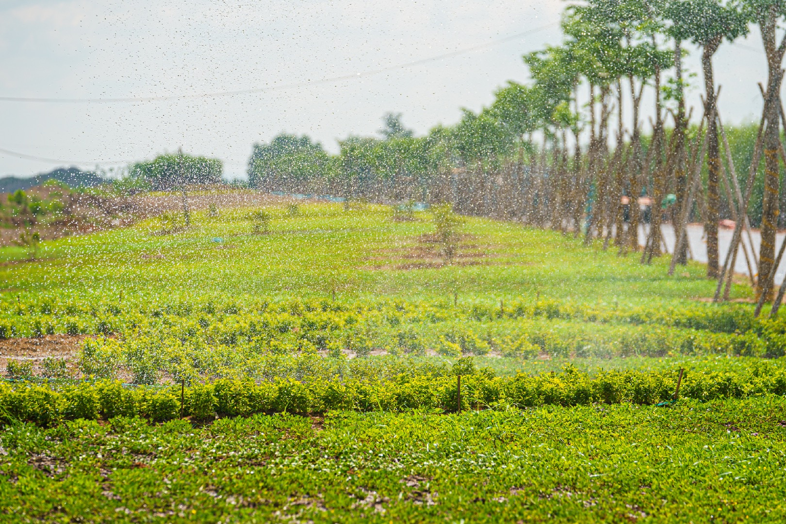 Ngắm tuyến đường hơn 2.600 tỷ, kết nối sân bay 16 tỷ USD sắp thông xe- Ảnh 10.