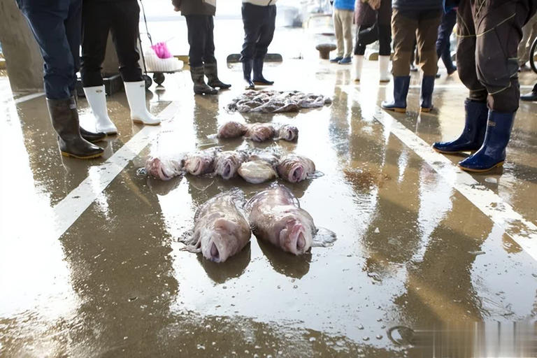 Ra chợ gặp 5 loại cá này, tươi ngon, rẻ mấy cũng đừng mua- Ảnh 2.