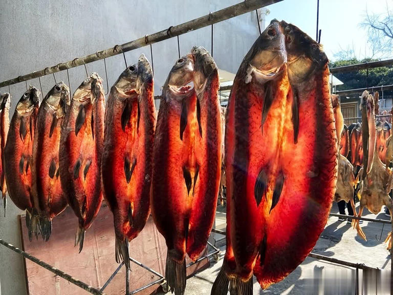 Ra chợ gặp 5 loại cá này, tươi ngon, rẻ mấy cũng đừng mua- Ảnh 3.