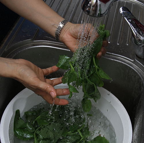 Không cầu kì, chuyên gia Mỹ chỉ ra đây là cách loại bỏ thuốc trừ sâu khỏi rau quả đúng nhất, an toàn nhất!- Ảnh 3. Không cầu kì, chuyên gia Mỹ chỉ ra đây là cách loại bỏ thuốc trừ sâu khỏi rau quả đúng nhất, an toàn nhất!- Ảnh 3.