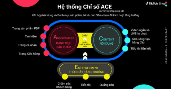 Nước đi giúp thương hiệu Việt vươn lên Top 3 ngành giày nữ trên TikTok Shop- Ảnh 1.