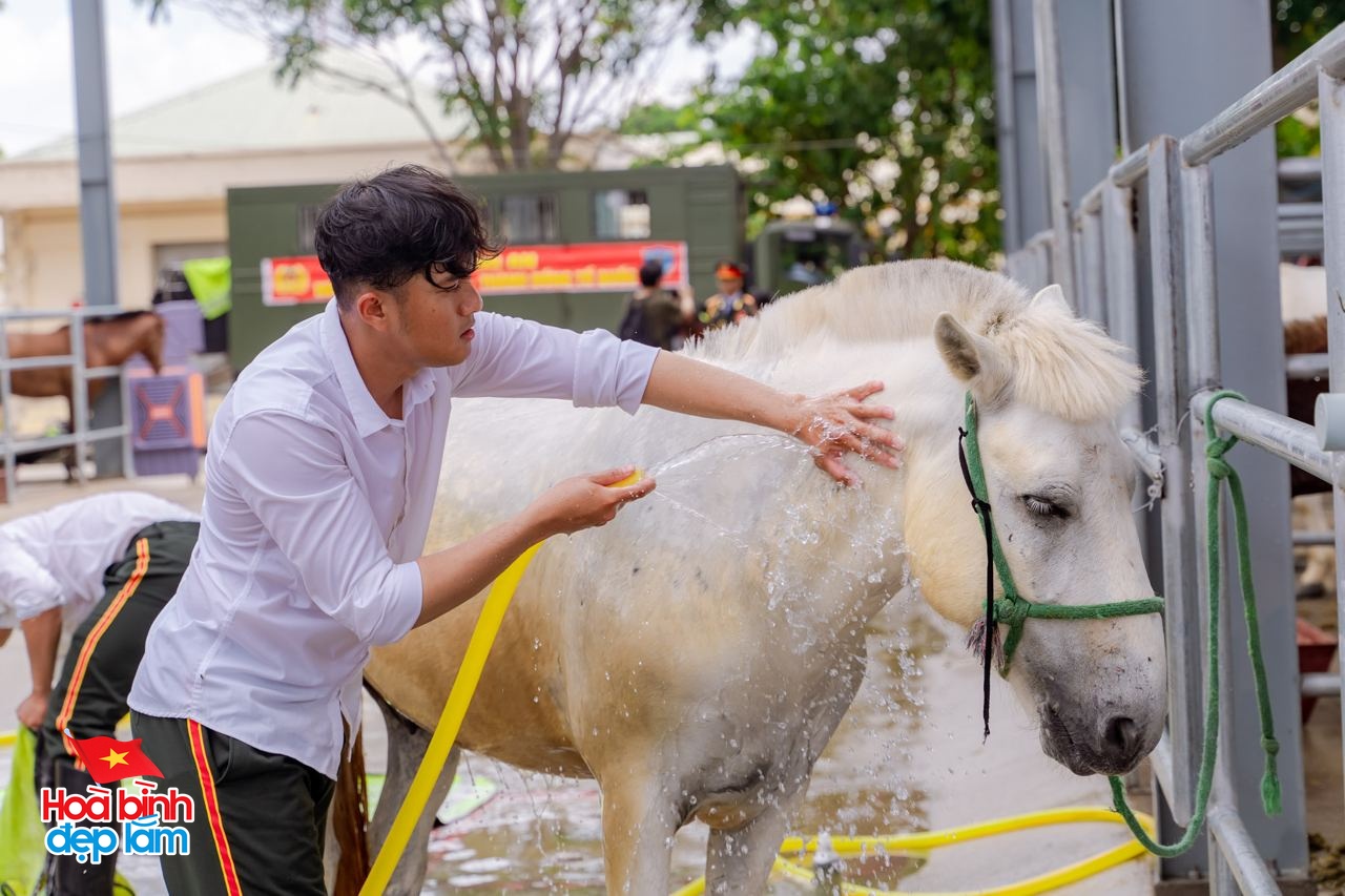 Gặp những chàng kỵ binh cưỡi ngựa từ Thái Nguyên vào TP.HCM chuẩn bị diễu binh 30/4: "Đời người mong được có vài lần"- Ảnh 11.