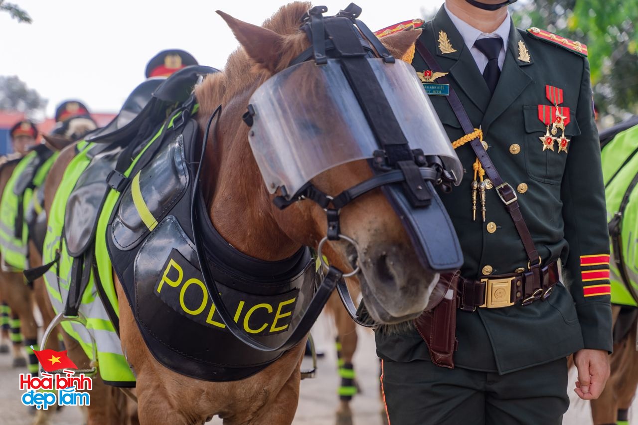 Gặp những chàng kỵ binh cưỡi ngựa từ Thái Nguyên vào TP.HCM chuẩn bị diễu binh 30/4: "Đời người mong được có vài lần"- Ảnh 16.