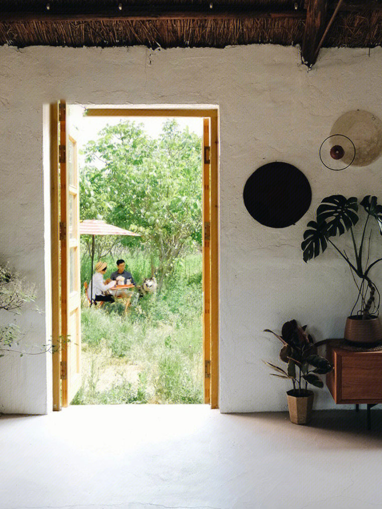 Rời xa thành phố, cặp đôi chọn thuê đảo hoang 20.000m² để sống an nhàn “dưỡng già”: Ai cũng mơ ước nhưng không phải ai cũng đủ dũng cảm để thực hiện!- Ảnh 3.