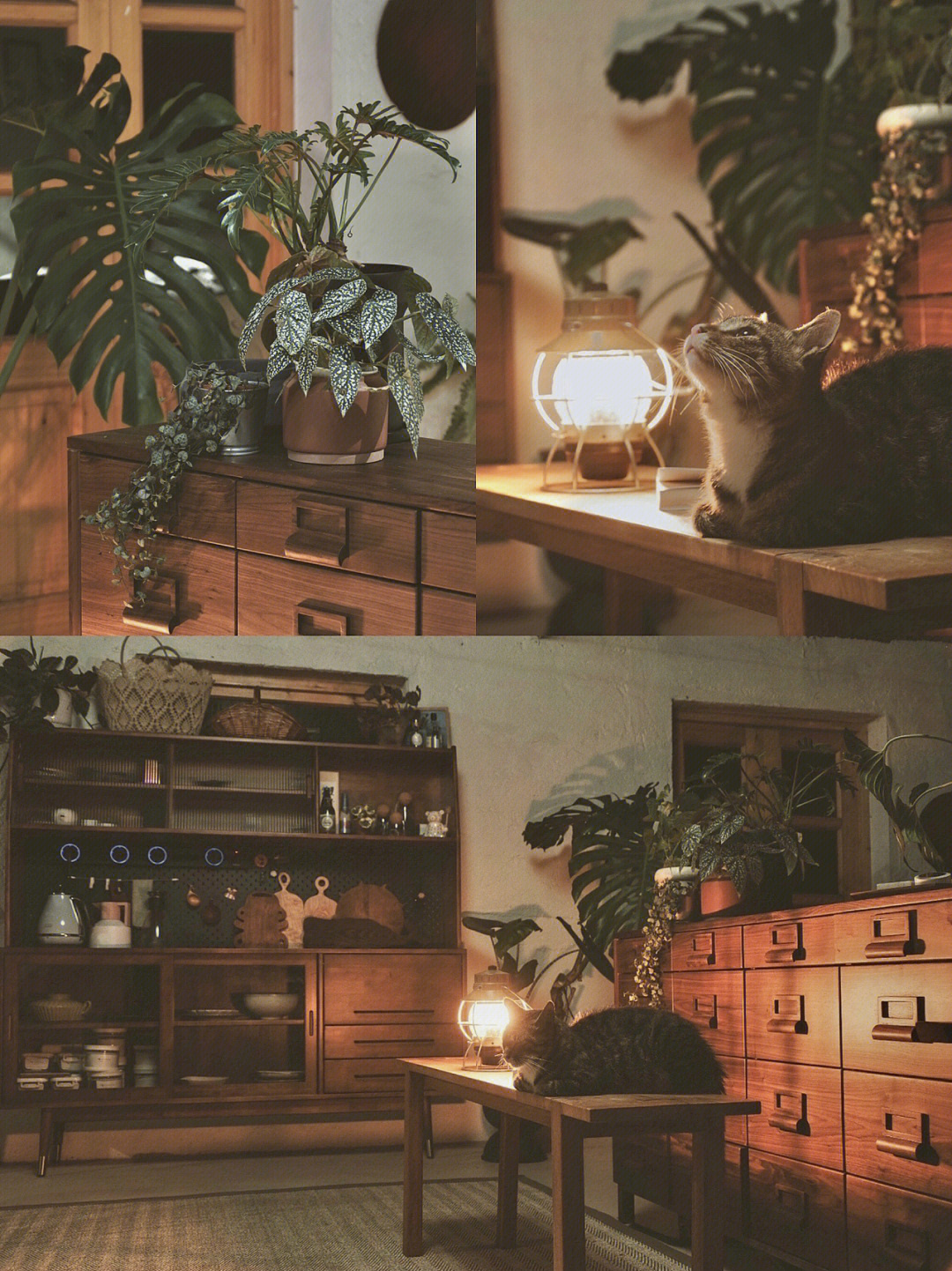 Rời xa thành phố, cặp đôi chọn thuê đảo hoang 20.000m² để sống an nhàn “dưỡng già”: Ai cũng mơ ước nhưng không phải ai cũng đủ dũng cảm để thực hiện!- Ảnh 5.