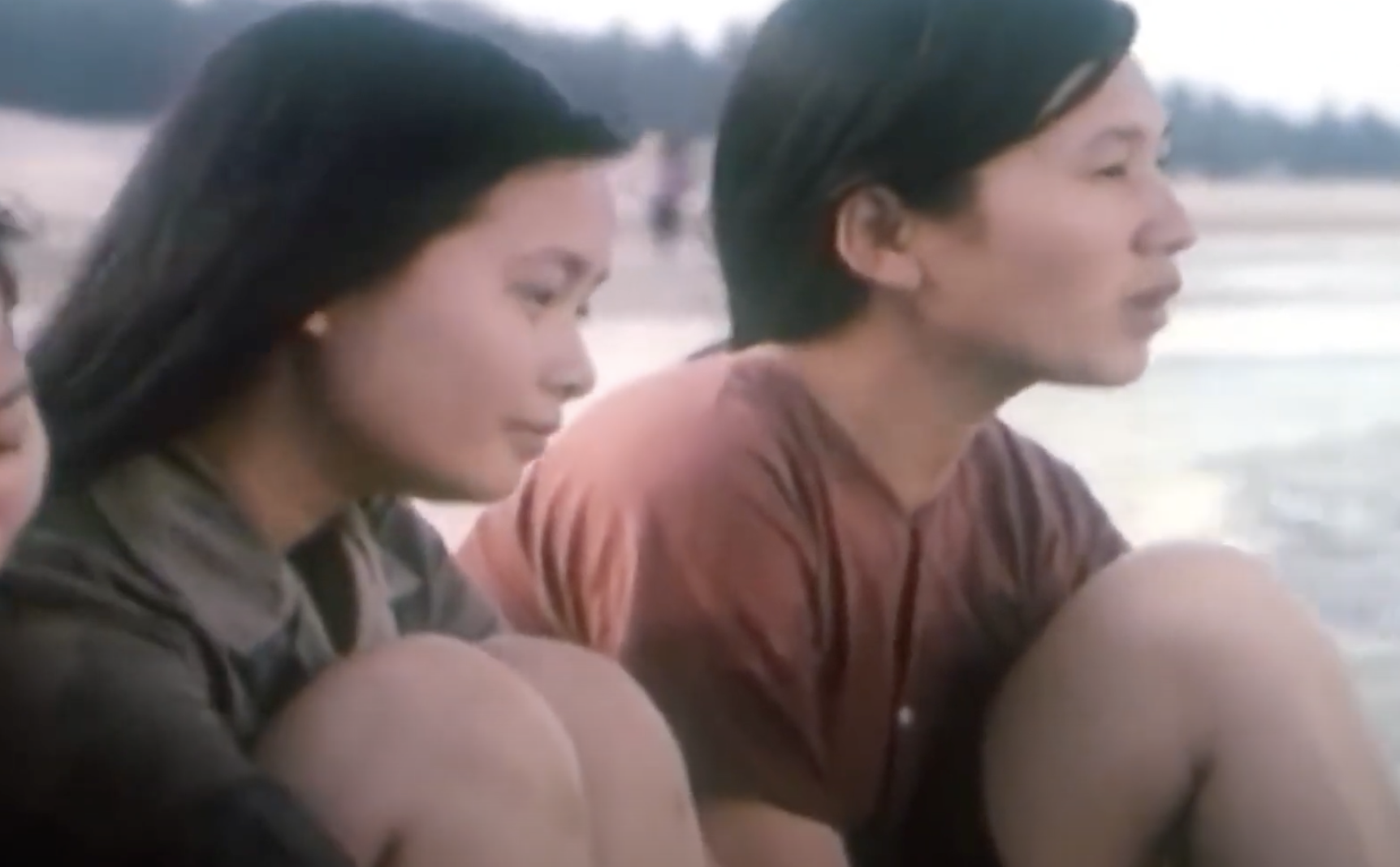 Bộ phim khiến ai cũng phải cúi đầu cảm phục, tự hào trước sự hy sinh của những “bóng hồng bất tử”: Cục trưởng Xuân Bắc có vai “để đời”- Ảnh 4.