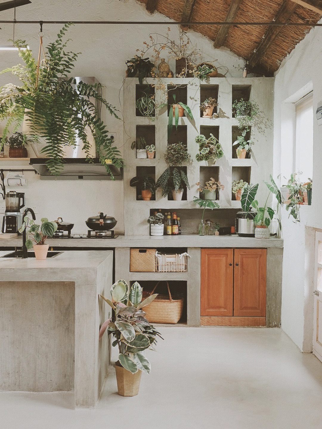 Rời xa thành phố, cặp đôi chọn thuê đảo hoang 20.000m² để sống an nhàn “dưỡng già”: Ai cũng mơ ước nhưng không phải ai cũng đủ dũng cảm để thực hiện!- Ảnh 13.