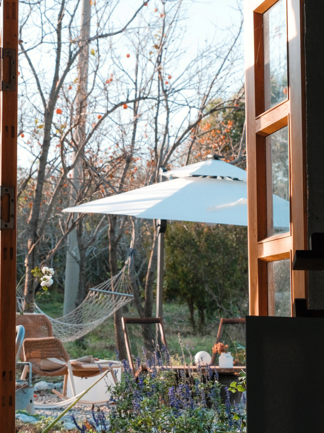 Rời xa thành phố, cặp đôi chọn thuê đảo hoang 20.000m² để sống an nhàn “dưỡng già”: Ai cũng mơ ước nhưng không phải ai cũng đủ dũng cảm để thực hiện!- Ảnh 6.