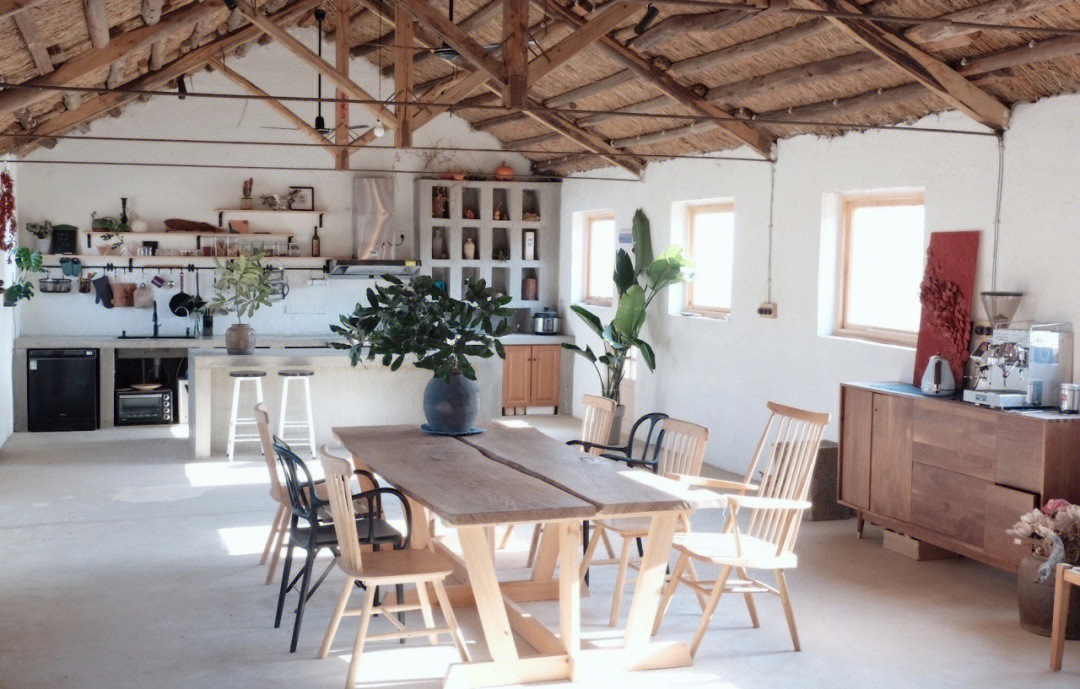 Rời xa thành phố, cặp đôi chọn thuê đảo hoang 20.000m² để sống an nhàn “dưỡng già”: Ai cũng mơ ước nhưng không phải ai cũng đủ dũng cảm để thực hiện!- Ảnh 9.