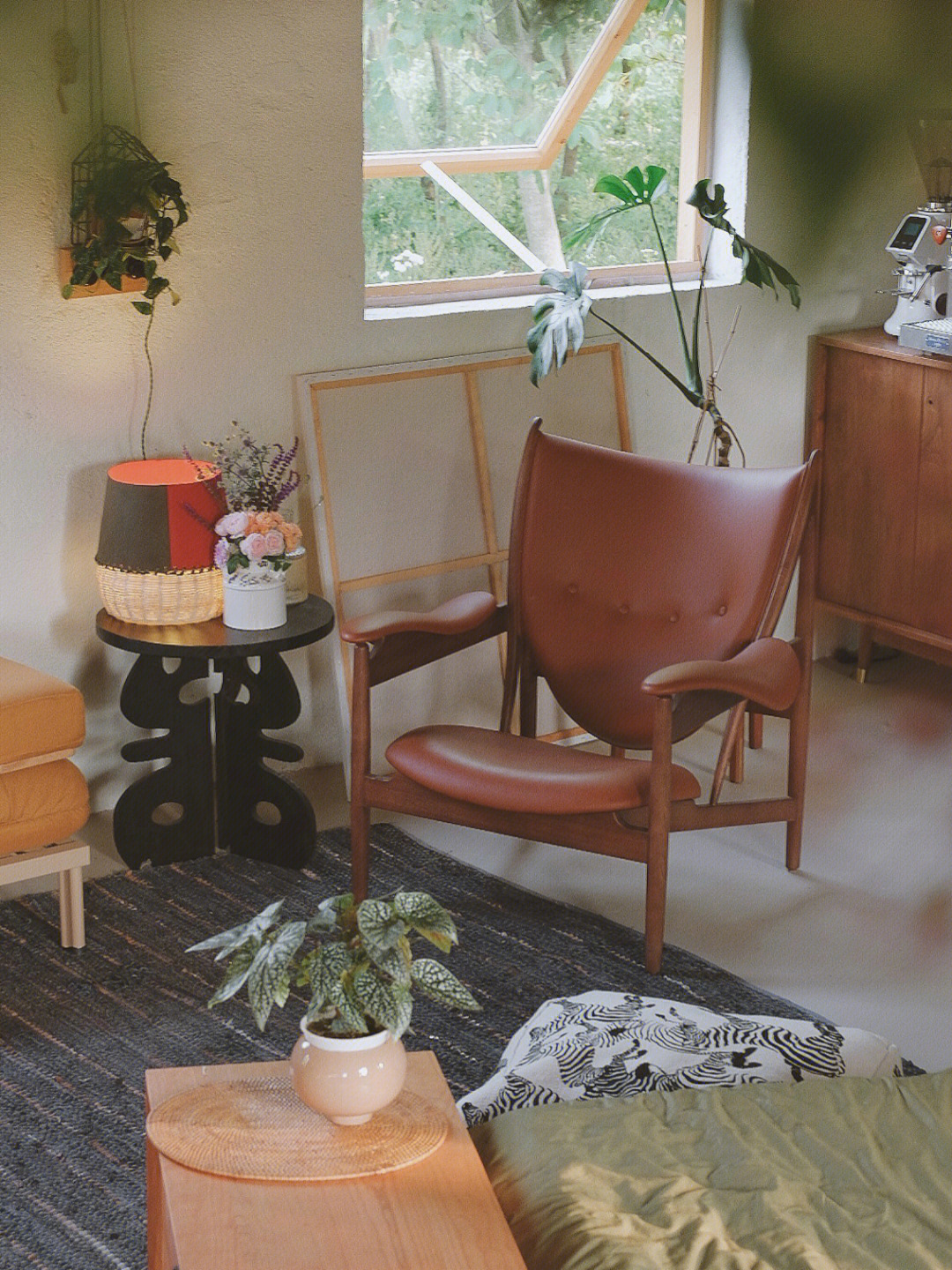 Rời xa thành phố, cặp đôi chọn thuê đảo hoang 20.000m² để sống an nhàn “dưỡng già”: Ai cũng mơ ước nhưng không phải ai cũng đủ dũng cảm để thực hiện!- Ảnh 15.